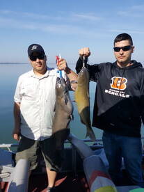 Catching big cats on the Sandusky Bay 