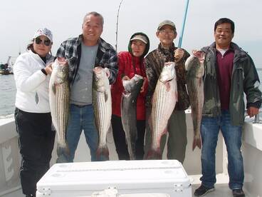 MAY 7- SIZZLING STRIPED BASS BITE AGAIN!
