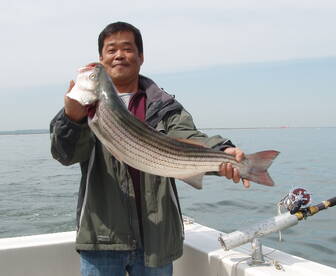 Middletown Township Report Photo 1