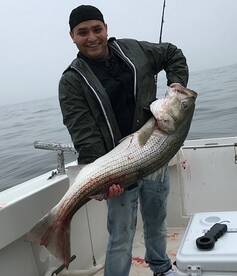 Middletown Township Report Photo 1