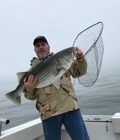 MAY 17- STRIPED BASS TO 40 + POUNDS !!!!