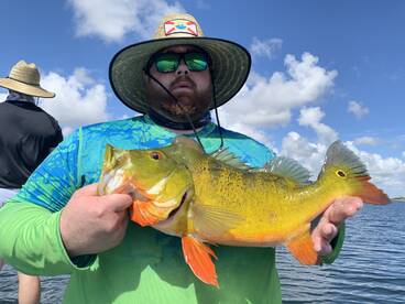 Palmetto Bay Report Photo 1