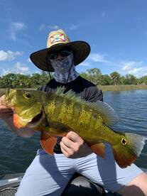 Palmetto Bay Report Photo 2
