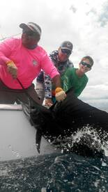 Quepos Report Photo 2