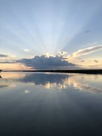 Just enough for dinner. 