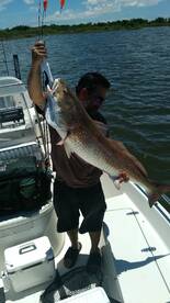 A nice Redfish 