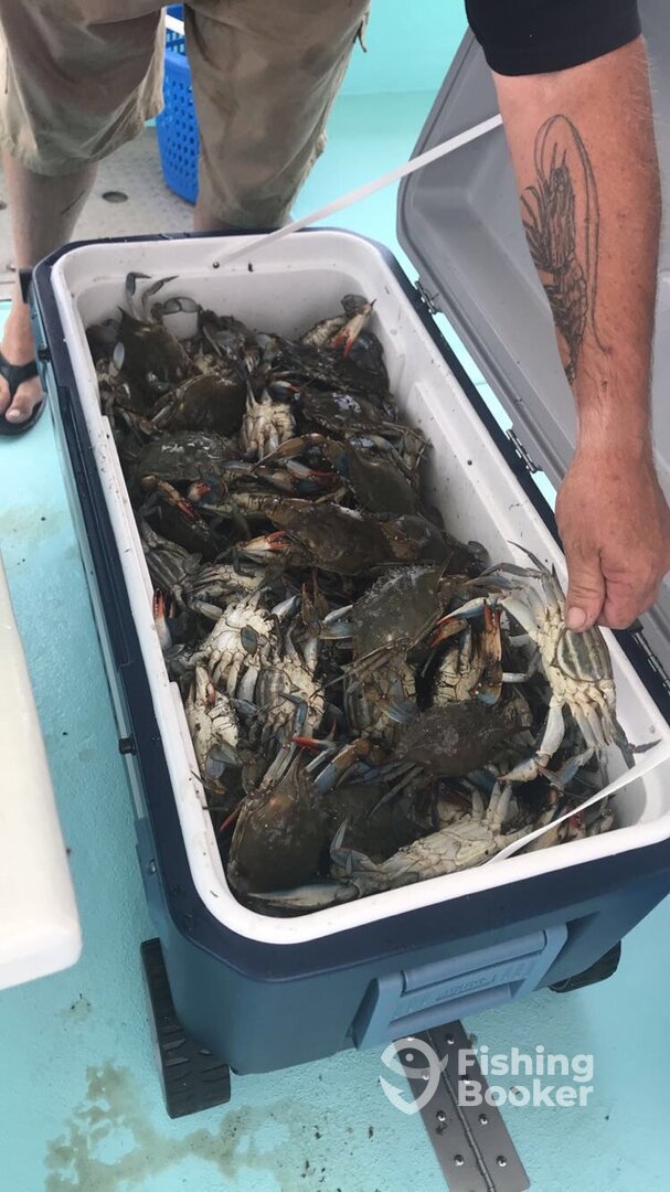 One Crab Tow filled the cooler!