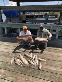 LOTS of REDFISH