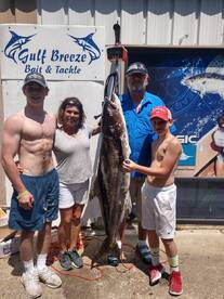 80.5 lb Cobia caught