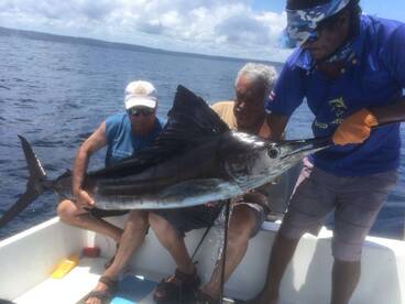 Wet Season means Sailfish!