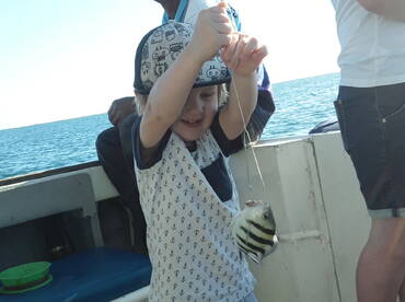 Cuvu Report Photo 1