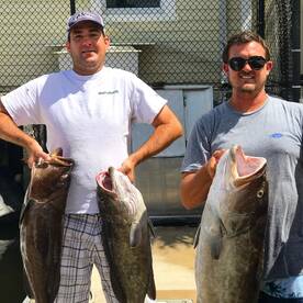 Limit of Groupers