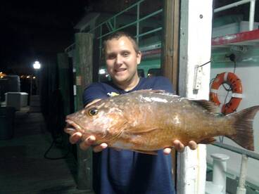 Good snapper fishing, especially at nigh