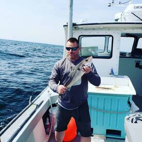 Lots of Haddock!