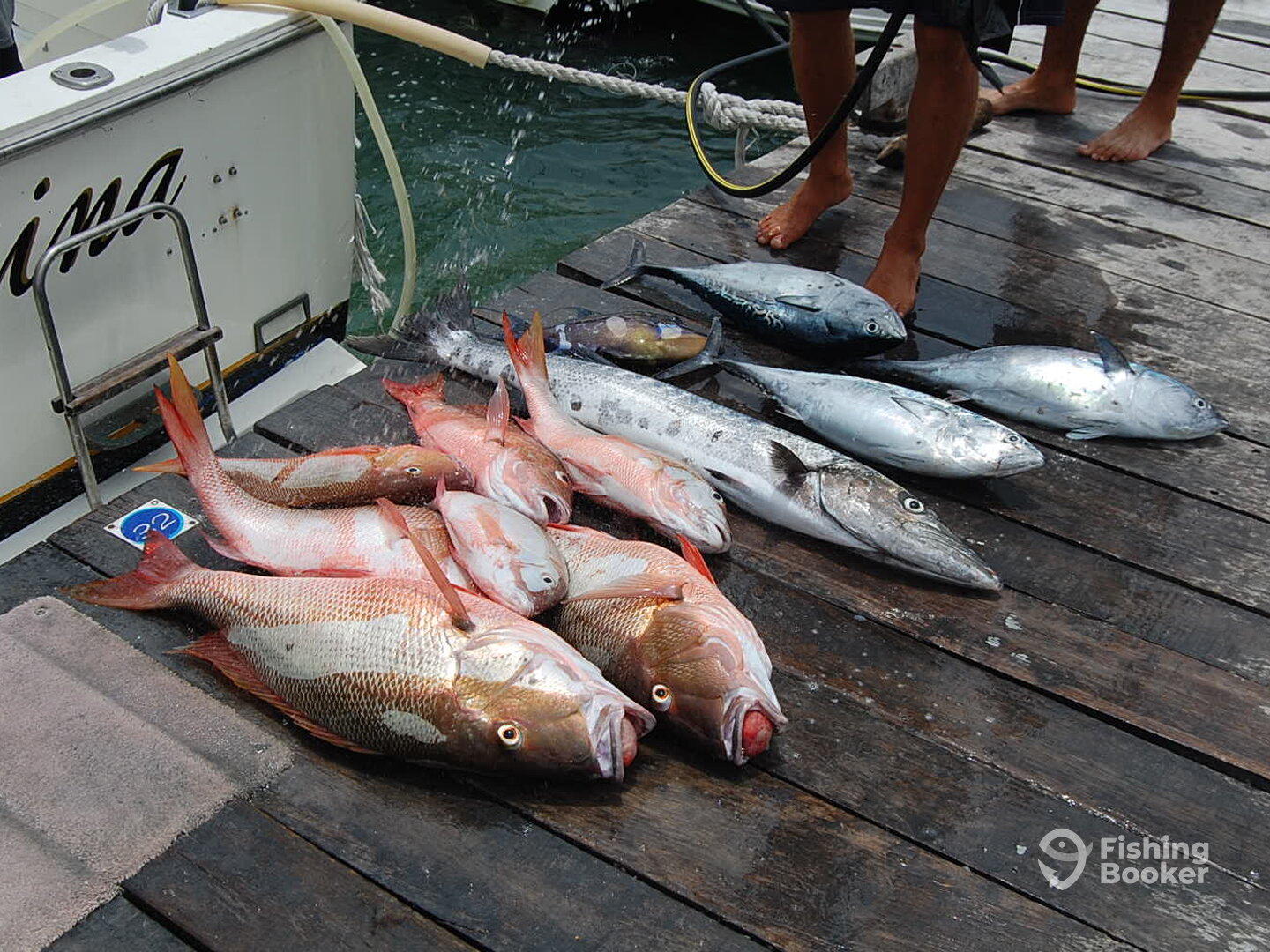 Marina Chac Chi Report Photo 0