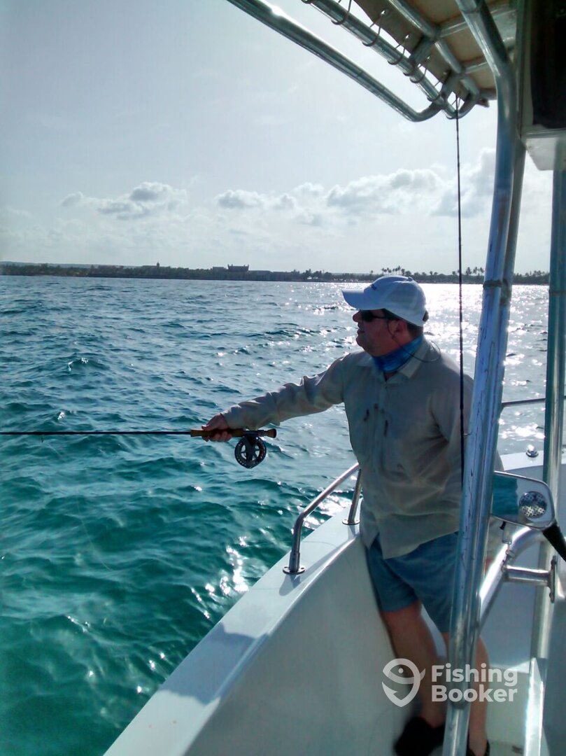 Punta Cana Report Photo 0