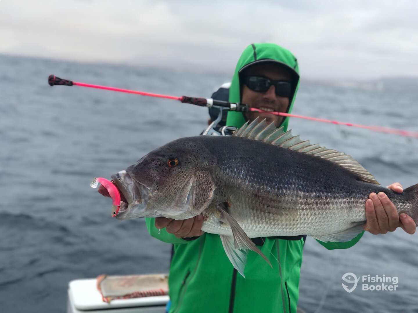 Corralejo Report Photo 0