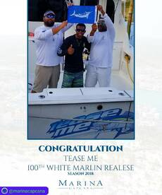 100th white marlin release by the Tease 