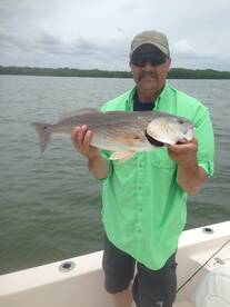 Redfish inshore and cobia on the wrecks!