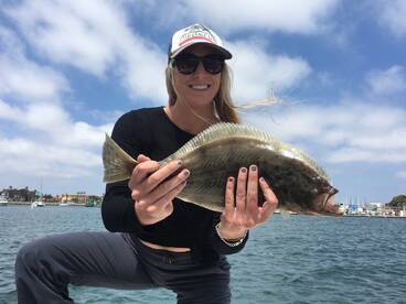 San Diego Report Photo 1