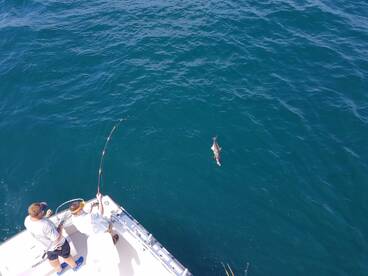 Nags Head Report Photo 1