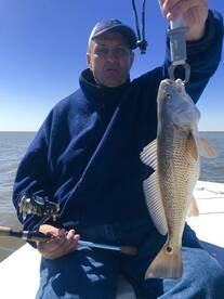 Port Sulphur Report Photo 2