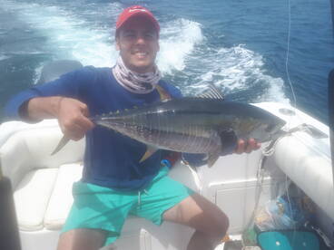 Yellow fin tuna