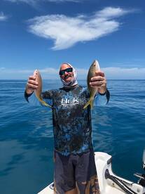 Snappers on the Reef