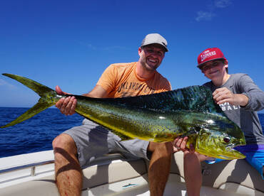 Hundred Plus Mahi-Mahi AKA Dolphin Caugh