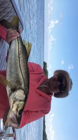SNOOK FRENZY