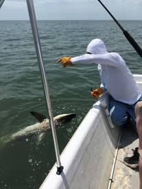 Chincoteague Report Photo 1