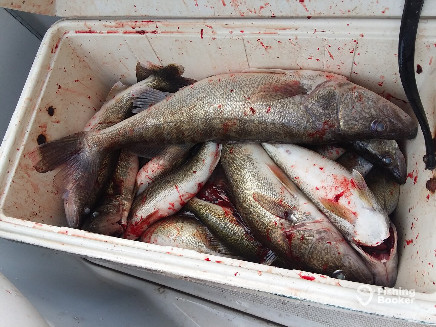 Conneaut Report Photo 0