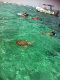 Family fun day snorkeling/fishing combo!
