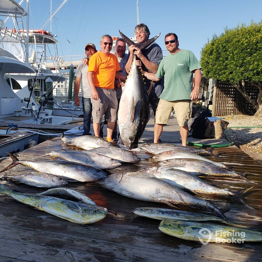 Manteo Report Photo 0