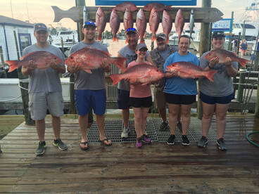 Orange Beach Report Photo 2