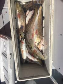 6/1/18-6/10/18 fishing reports 