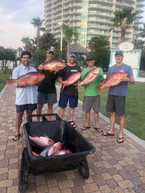 Orange Beach Report Photo 2