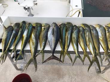 Key West Report Photo 1