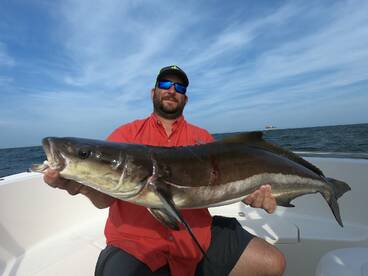 Virginia Beach Report Photo 1