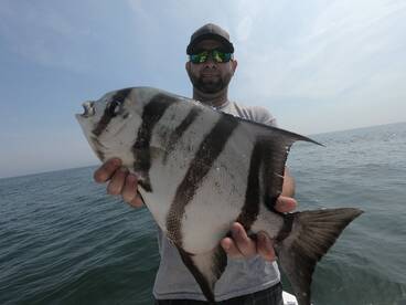 Virginia Beach Report Photo 1