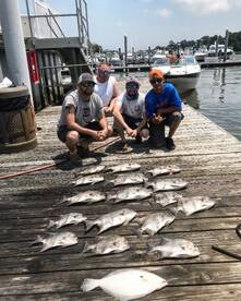 Virginia Beach Report Photo 2