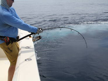 Boca Chica Report Photo 4