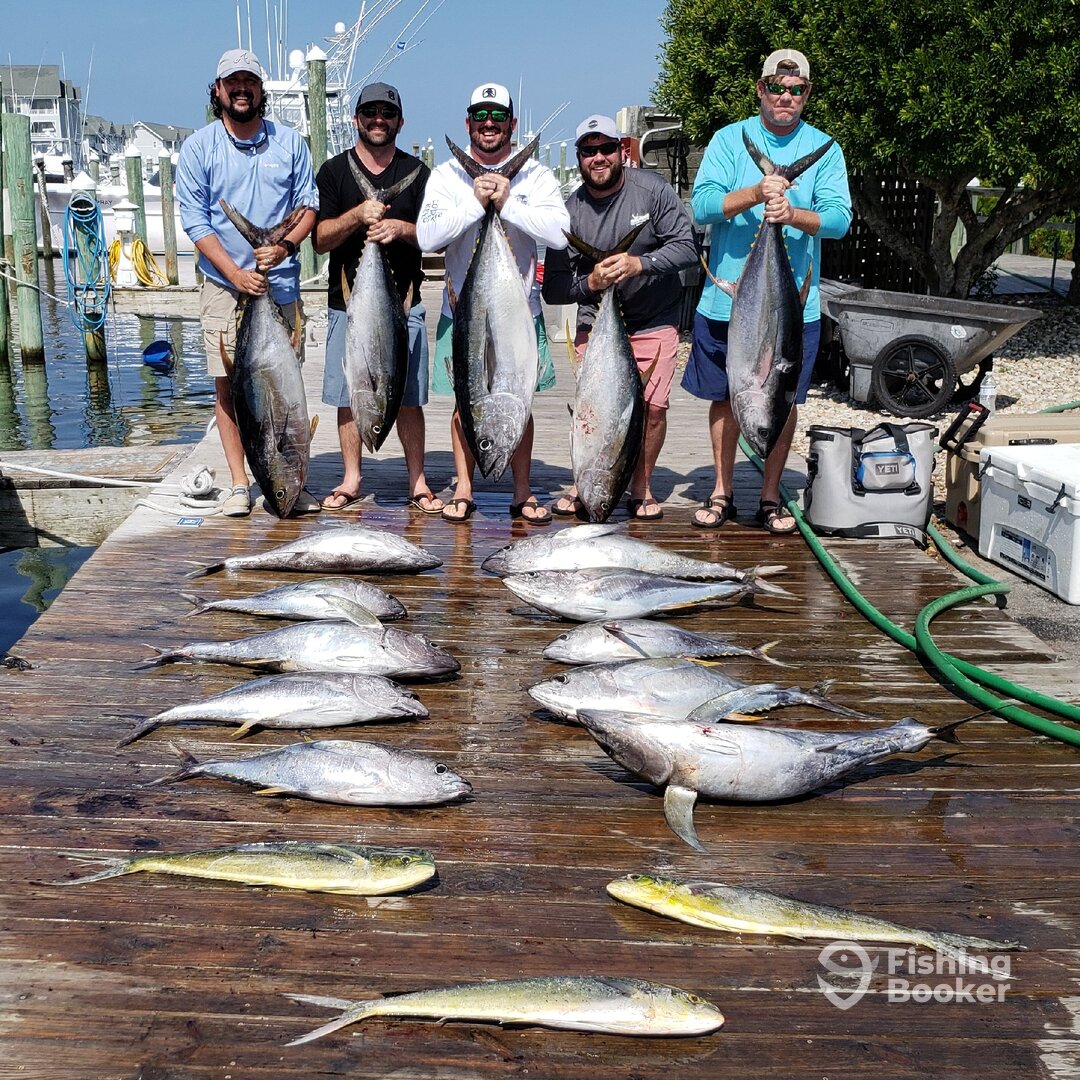 Manteo Report Photo 0