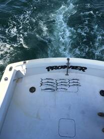 Norfolk Report Photo 2