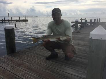 Navarre Report Photo 1
