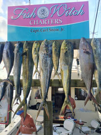 Carolina Beach Report Photo 1