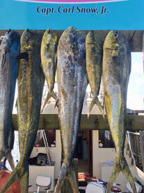 Carolina Beach Report Photo 2