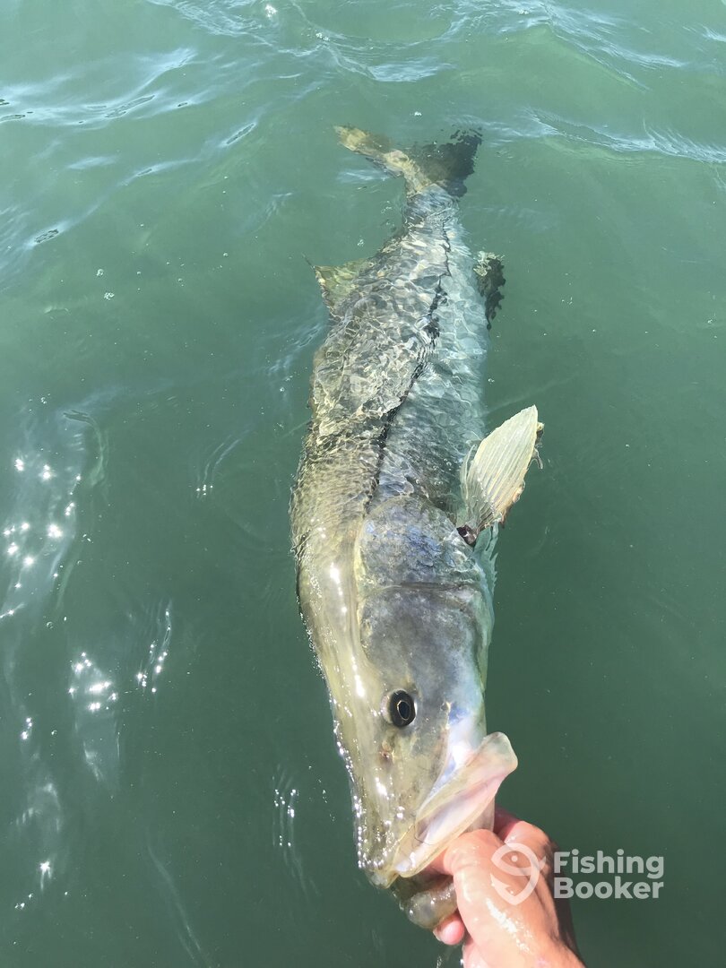 Clearwater Report Photo 0
