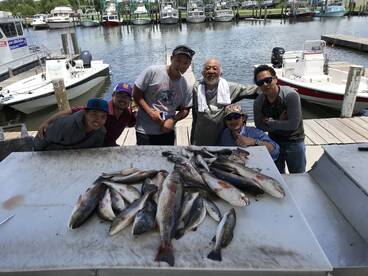 Picks from the last four trips