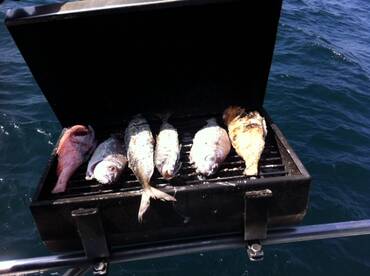 They catched the fishes, we clean and grill they eat!!